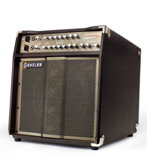 Genzler AA-PRO Acoustic Array Pro 1x10 Acoustic Amplifier