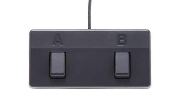 Boss Acoustic Singer Pro Acoustic Amplifier - Brown